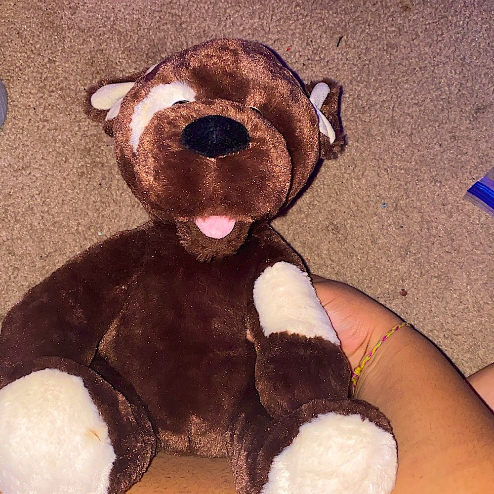 Cute dog stuffie